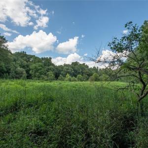 Photo #44 of 8942 Spearman, Reidsville, NC 453.0 acres
