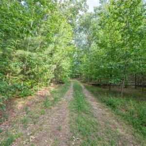 Photo #40 of 8942 Spearman, Reidsville, NC 453.0 acres