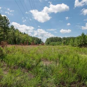 Photo #35 of 8942 Spearman, Reidsville, NC 453.0 acres