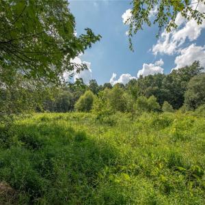 Photo #31 of 8942 Spearman, Reidsville, NC 453.0 acres