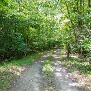 Photo #29 of 8942 Spearman, Reidsville, NC 453.0 acres