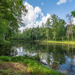 Photo #4 of 8942 Spearman, Reidsville, NC 453.0 acres