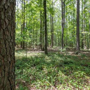 Photo #25 of 8942 Spearman, Reidsville, NC 453.0 acres
