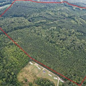 Photo #2 of 8942 Spearman, Reidsville, NC 453.0 acres