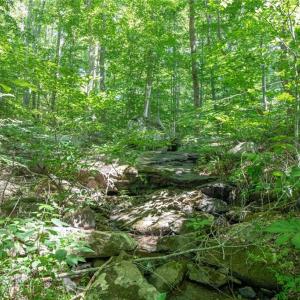 Photo #46 of 8942 Spearman, Reidsville, NC 453.0 acres