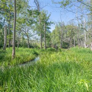 Photo #47 of 8942 Spearman, Reidsville, NC 453.0 acres
