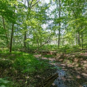 Photo #20 of 8942 Spearman, Reidsville, NC 453.0 acres