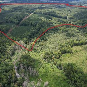 Photo #3 of 8942 Spearman, Reidsville, NC 453.0 acres