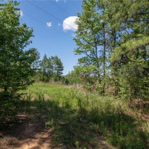 Photo #44 of 8942 Spearman, Reidsville, NC 453.0 acres