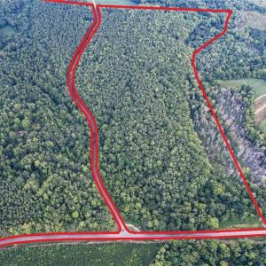 Photo #4 of 8942 Spearman, Reidsville, NC 453.0 acres