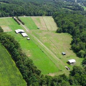 Photo #11 of 3421 Suits, Gibsonville, NC 16.7 acres