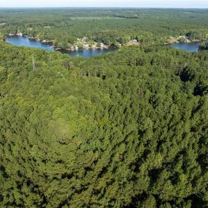 Photo #3 of 146 Cove Wood, Denton, NC 10.8 acres