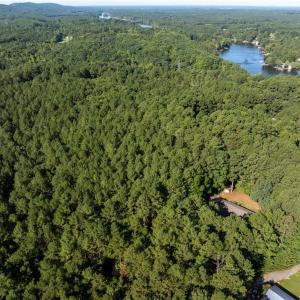 Photo #5 of 146 Cove Wood, Denton, NC 10.8 acres