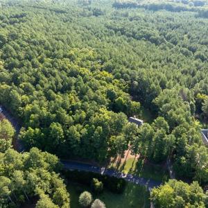 Photo #4 of 146 Cove Wood, Denton, NC 10.8 acres