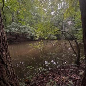 Photo #17 of Myers, Winston-Salem, NC 5.6 acres