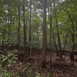 Photo #12 of Myers, Winston-Salem, NC 5.6 acres