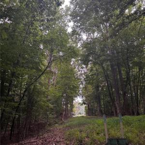 Photo #14 of Myers, Winston-Salem, NC 5.6 acres
