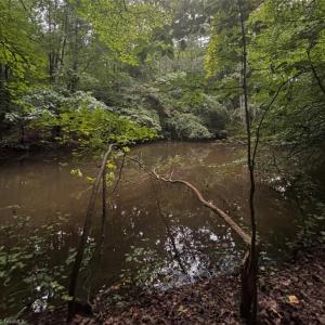 Photo #18 of Myers, Winston-Salem, NC 5.6 acres
