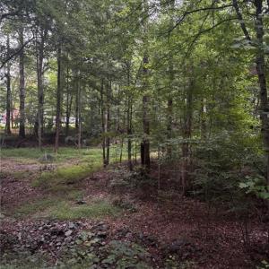 Photo #15 of Myers, Winston-Salem, NC 5.6 acres
