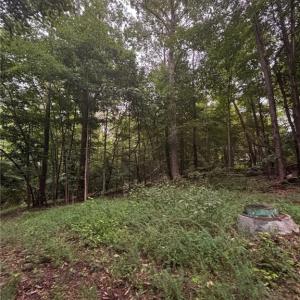 Photo #11 of Myers, Winston-Salem, NC 5.6 acres