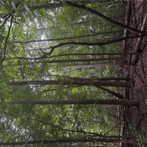 Photo #19 of Myers, Winston-Salem, NC 5.6 acres