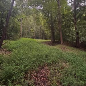 Photo #21 of Myers, Winston-Salem, NC 5.6 acres