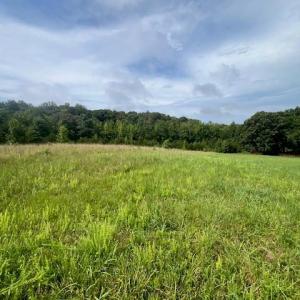 Photo #2 of Dorse, Lewisville, NC 31.1 acres