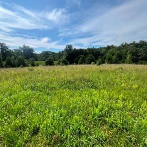 Photo #3 of Dorse, Lewisville, NC 31.1 acres