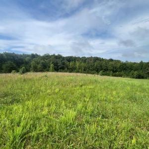 Photo #1 of Dorse, Lewisville, NC 31.1 acres