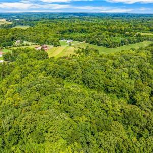Photo #13 of Dorse, Lewisville, NC 31.1 acres