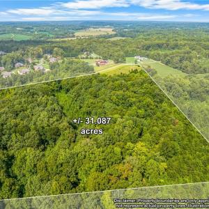 Photo #17 of Dorse, Lewisville, NC 31.1 acres