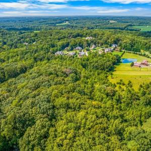Photo #16 of Dorse, Lewisville, NC 31.1 acres