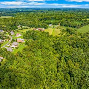 Photo #12 of Dorse, Lewisville, NC 31.1 acres