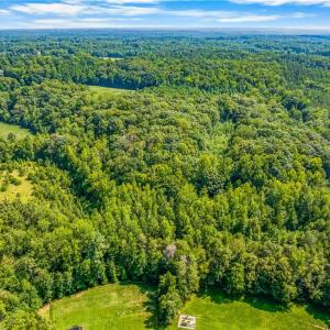 Photo #10 of Dorse, Lewisville, NC 31.1 acres