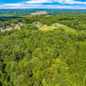 Photo #14 of Dorse, Lewisville, NC 31.1 acres