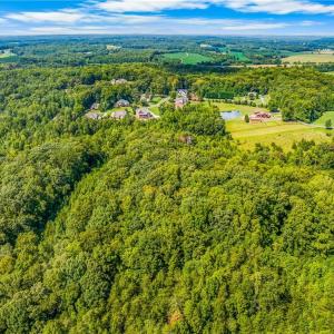 Photo #15 of Dorse, Lewisville, NC 31.1 acres