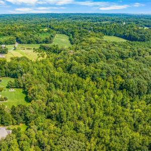 Photo #11 of Dorse, Lewisville, NC 31.1 acres