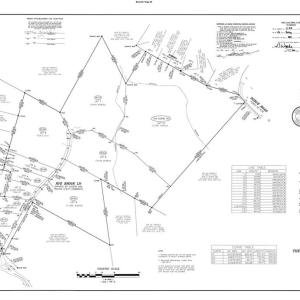 Photo #4 of Dorse, Lewisville, NC 31.1 acres