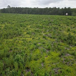 Photo #23 of 3950 Shiptontown, Lexington, NC 30.1 acres