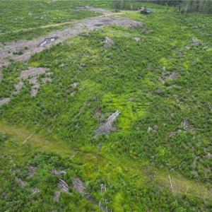 Photo #13 of 3950 Shiptontown, Lexington, NC 30.1 acres