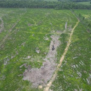 Photo #12 of 3950 Shiptontown, Lexington, NC 30.1 acres