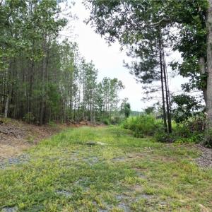 Photo #3 of 3950 Shiptontown, Lexington, NC 30.1 acres