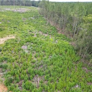 Photo #32 of 3950 Shiptontown, Lexington, NC 30.1 acres