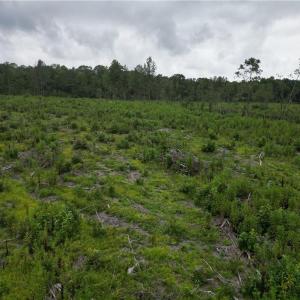 Photo #20 of 3950 Shiptontown, Lexington, NC 30.1 acres