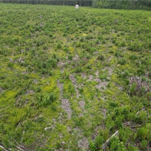 Photo #24 of 3950 Shiptontown, Lexington, NC 30.1 acres