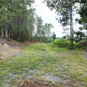 Photo #33 of 3950 Shiptontown, Lexington, NC 30.1 acres