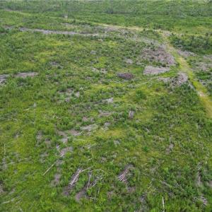 Photo #14 of 3950 Shiptontown, Lexington, NC 30.1 acres
