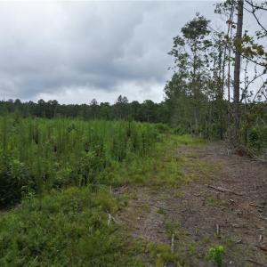 Photo #18 of 3950 Shiptontown, Lexington, NC 30.1 acres