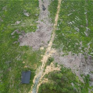 Photo #15 of 3950 Shiptontown, Lexington, NC 30.1 acres