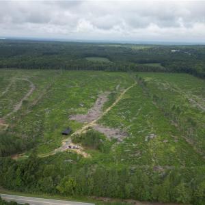Photo #35 of 3950 Shiptontown, Lexington, NC 30.1 acres